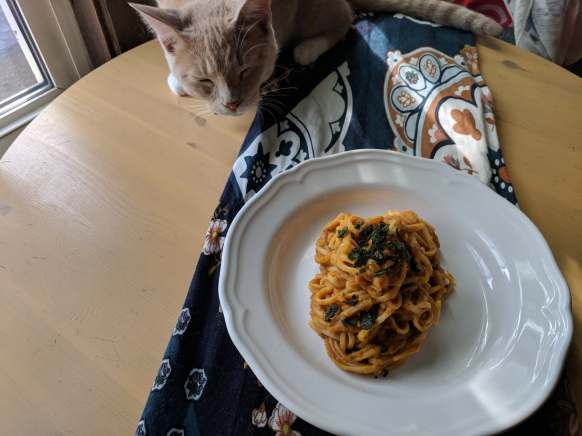 43090037_585105418611662_3248767263318212608_n